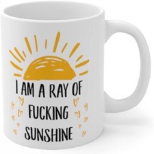 Funny Gifts For Women Fun Coffee Mugs With Quotes I Am Ray Of F-Cking Sunshine M