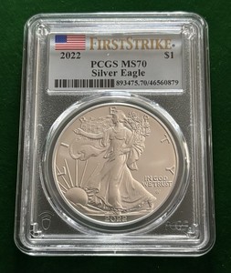 Silver Eagle First Strike MS 70 | eBay
