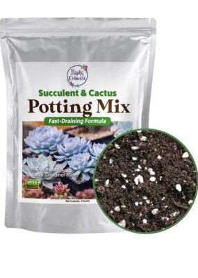 Plants Colorist Succulent and Cactus Potting Mix Fast Draining Formula |  eBay