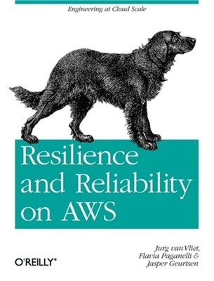 Resilience and Reliability on AWS (Paperback or Softback)