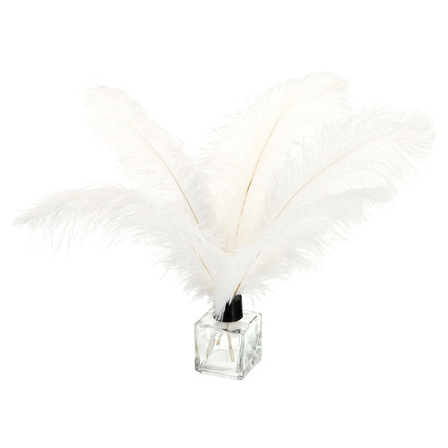 100 Pcs Natural Black / White Ostrich Feathers for Wedding(White)