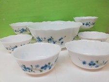 Arcopal France CIOTOLA CIOTOLINE COPPETTE Veronica myosotis Fiore Azzurro