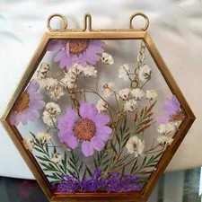 Wall Art Dried Pressed Real Flowers in Glass frame hexagon 3.5 in handmade gift