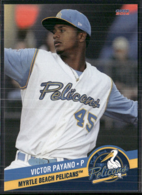Victor Payano 2014 Myrtle Beach Pelicans Team Set 
