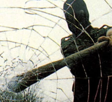 30"50' Roll of 8MIL SAFETY/SECURITY SHATTERPROOF WINDOW FILM DIY PRO GRADE