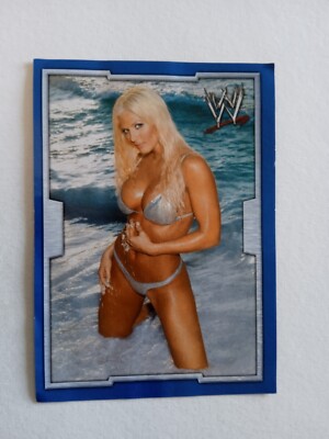 RAW AND SMACKDOWN EXPLOSION MERLIN EUROSHOP 2004 FIGURE n S89 WITH VELINA