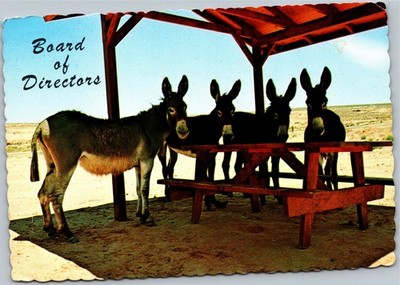 Postcard Board of Directors - donkeys around picnic table