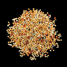 Wellensittichfutter 2,5 kg Vogelfutter Sittic...
