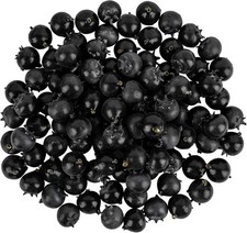 , 100 Pack Artificial Blueberry Fake Blueberries Lifelike Fruit Plastic Simulati