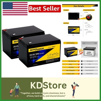 Eco-Friendly 24V 9Ah LiFePO4 Battery Pack - 3000+ Cycles for Safeguard Energy