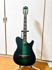 Ibanez FRH20FMN DG Dragon Green Chitarra acustica-elettrica con custodia
