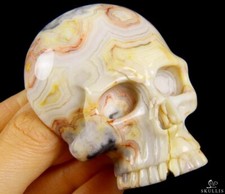 Crazy lace Agate Carved Crystal Skull Buckle