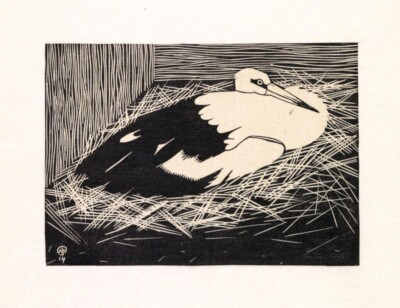 Maguari Stork [Woodcut]   Samuel de Mesquita   1914   Wildlife Woodcut Print