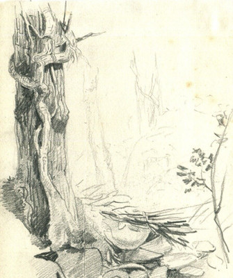 Landscape Oak Stone Tree Forest - Drawing Vintage Pencil