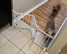 BFNN Free Standing Dog Gate, 16.5" High Short Pet Gate for Stairs and Doorways