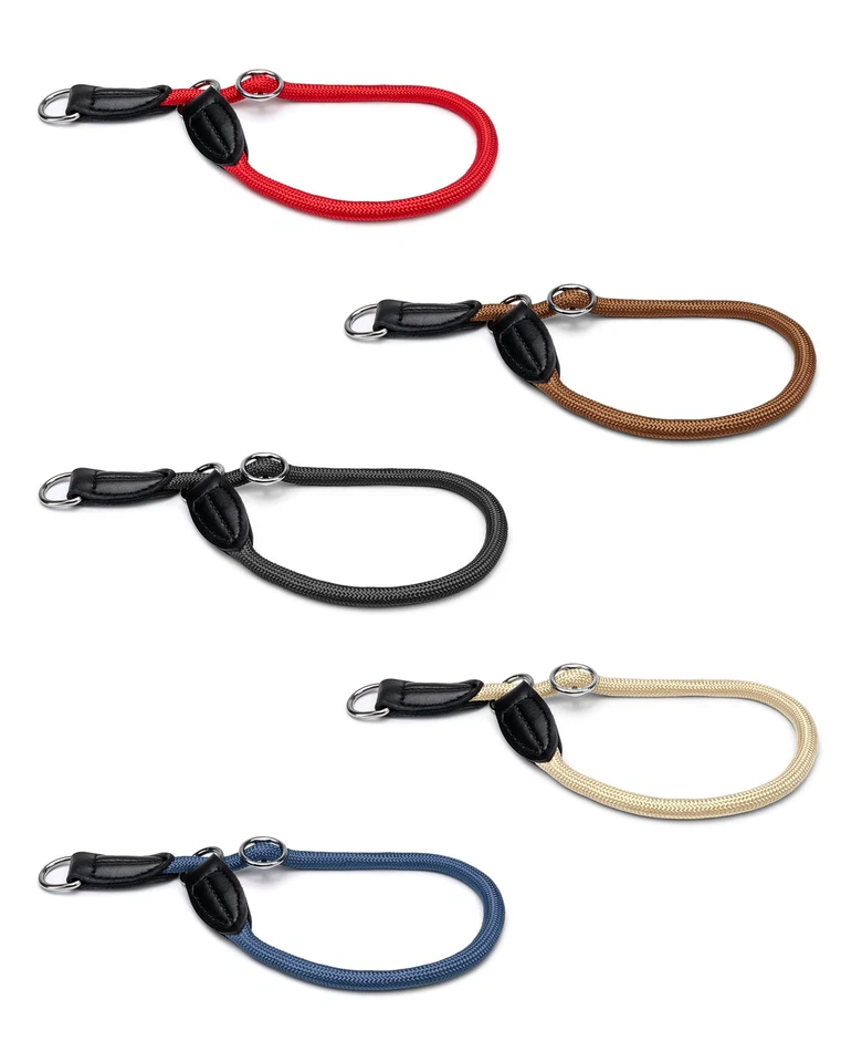 lionto Hundehalsband Retrieverhalsband Dressurhalsband diverse Farben / Längen - Bild 1 von 1