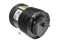Luftfeder Federbein StossdÄMpfer Hinterachse Rechts FÜR Audi - AIC 77304