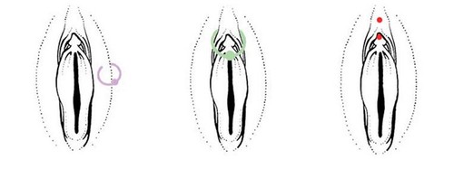 PAIR 18G 5/16" GOLD BLACK RAINBOW CZ GEM STEEL CAPTIVE BEAD RING HOOP EAR TRAGUS - Picture 5 of 5