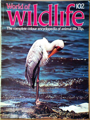 WORLD of WILDLIFE No 102 MANGROVE SWAMP HUNTERS Fishing cat OTTER CIVET Osprey