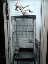 Bird cage with stand and cage top toy