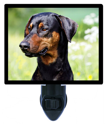 Dog Decorative Photo Night Light, Doberman