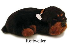 Rottweiler- Il cucciolo che respira - PERFECT PETZZZ
