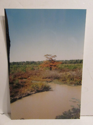 VINTAGE FOUND PHOTOGRAPH COLOR ART OLD PHOTO 90S TEXAS LOUISIANA RIVER TOURIST