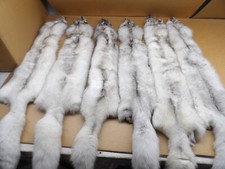 Tanned 1 Blue Fox Hide/Blue Silver Grey Color/Furs/Taxidermy/Crafts