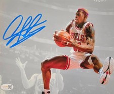 Dennis Rodman Signed METALLIC Photo 8x10  NWO Bulls Worm Autograph HOF JSA HOGAN