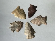 AMAZING LOT OF RIVERTON CULTURE ARCHAIC BIRD POINT ARROWHEADS FROM KENTUCKY #3
