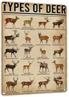 Rustic Types Of Deer Metal Sign, Vintage Farmhouse Wall Art Tin Sign - Hunting