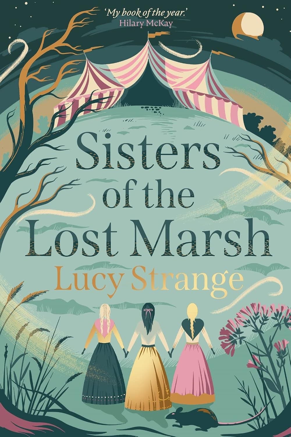 Sisters of the Lost Marsh Lucy Strange Paperback Childrens Gothic Fiction - Image 8
