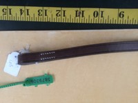 Sabre Raised Brown Browband Full 3879307 Sabre Raised Brown Browband Full 3879307