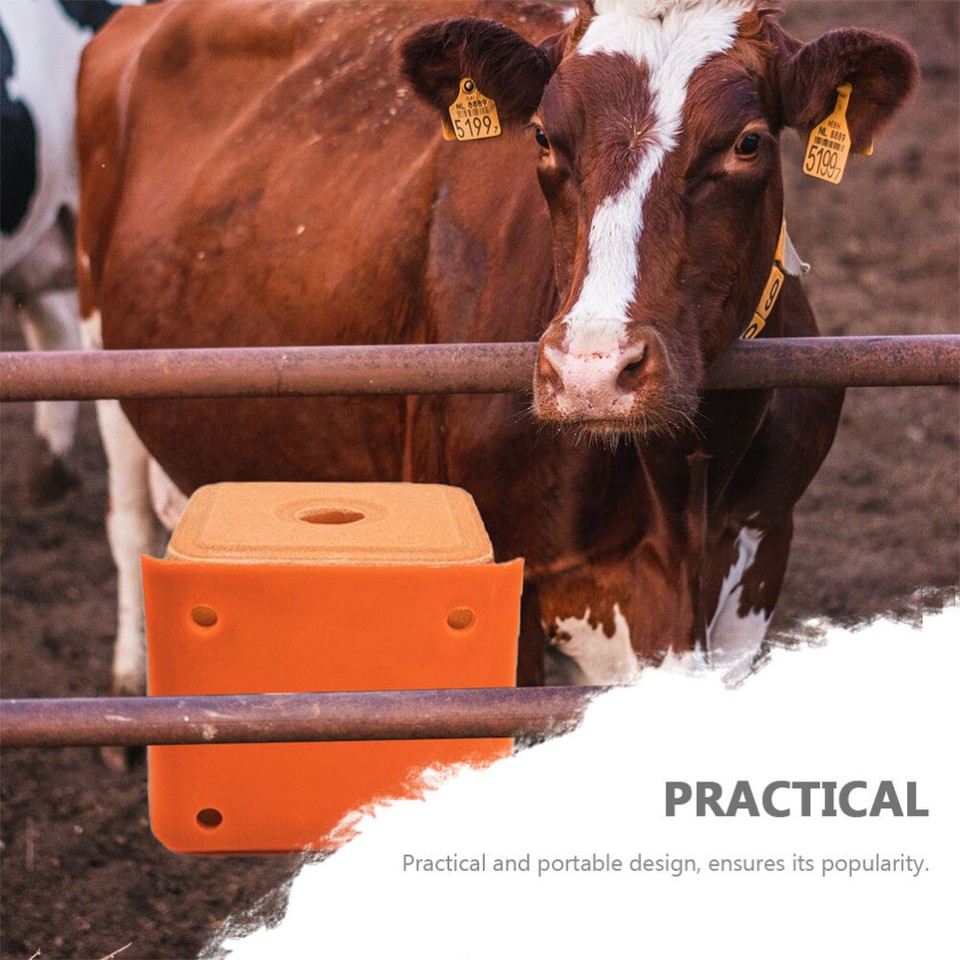 2 Pcs Cattle Salt Feeder Accessory Brick Holder Block Bowl Feeders for