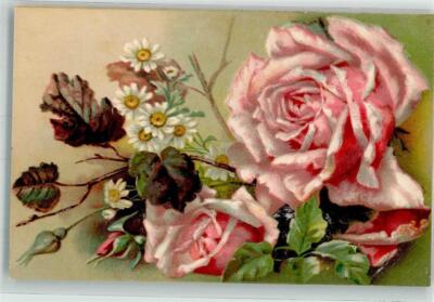 39799907 - Rose Aster P.M.B. Ser. 4394 Still Life