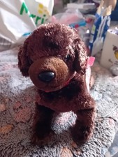 Ty Beanie Babies Muddy The Chocolate Labrador, Small Plush Soft Toy, BNWT