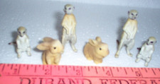 6 Small animals, meerkats and bunnies a
