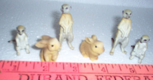 6  Small animals, meerkats  and bunnies       a