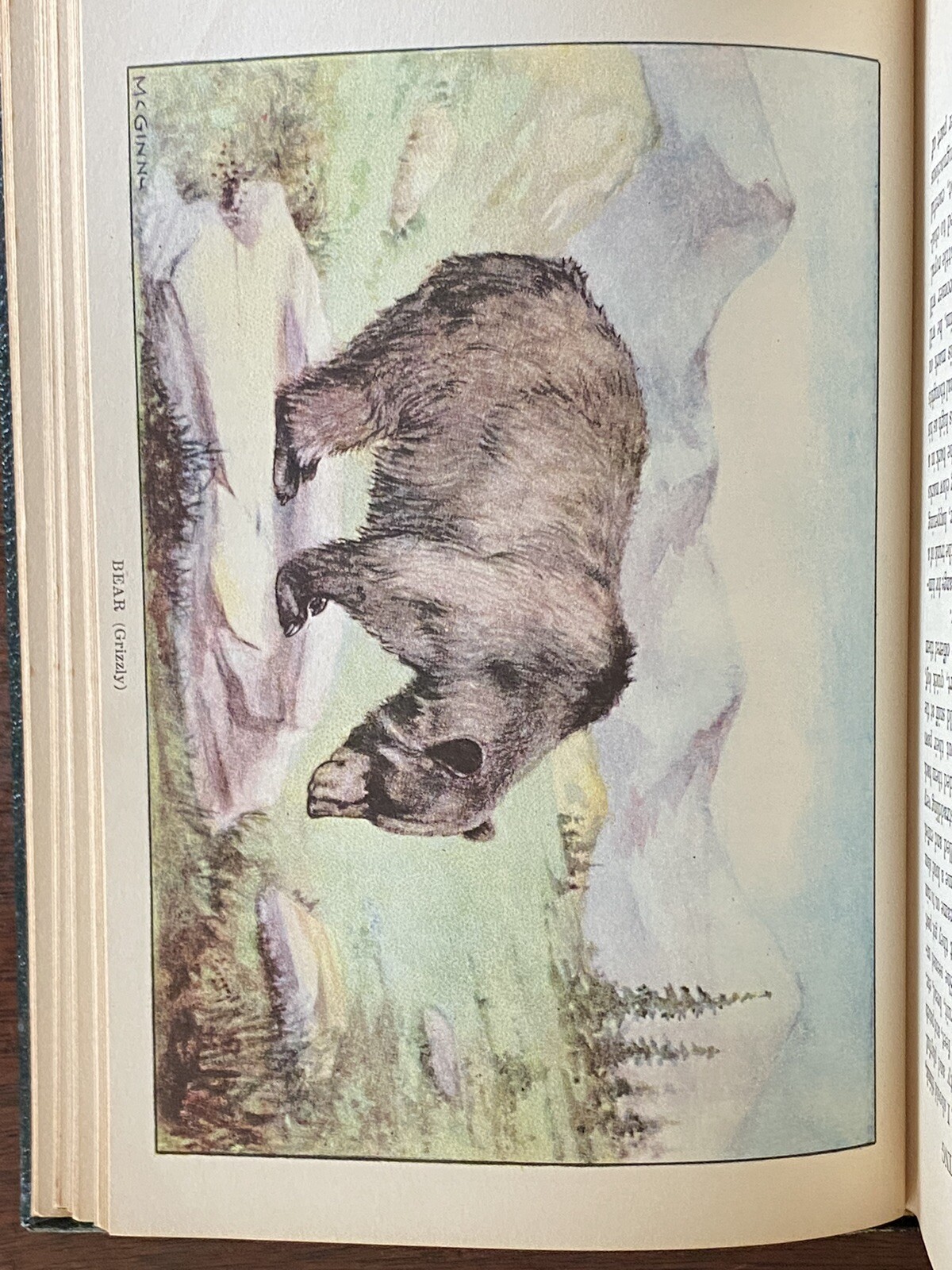 Picture 23 of 24