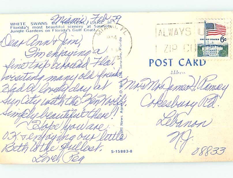 Pre1980 SWAN BIRDS AT JUNGLE GARDENS Sarasota Florida FL clearance