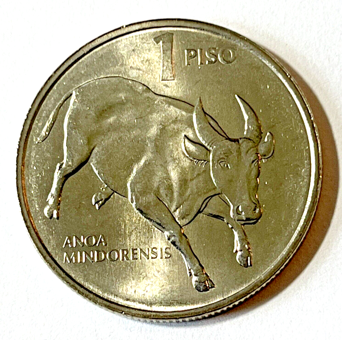 1989 Philippines Coin 1 Piso Tamaraw Mindoro Dwarf Buffalo Bull