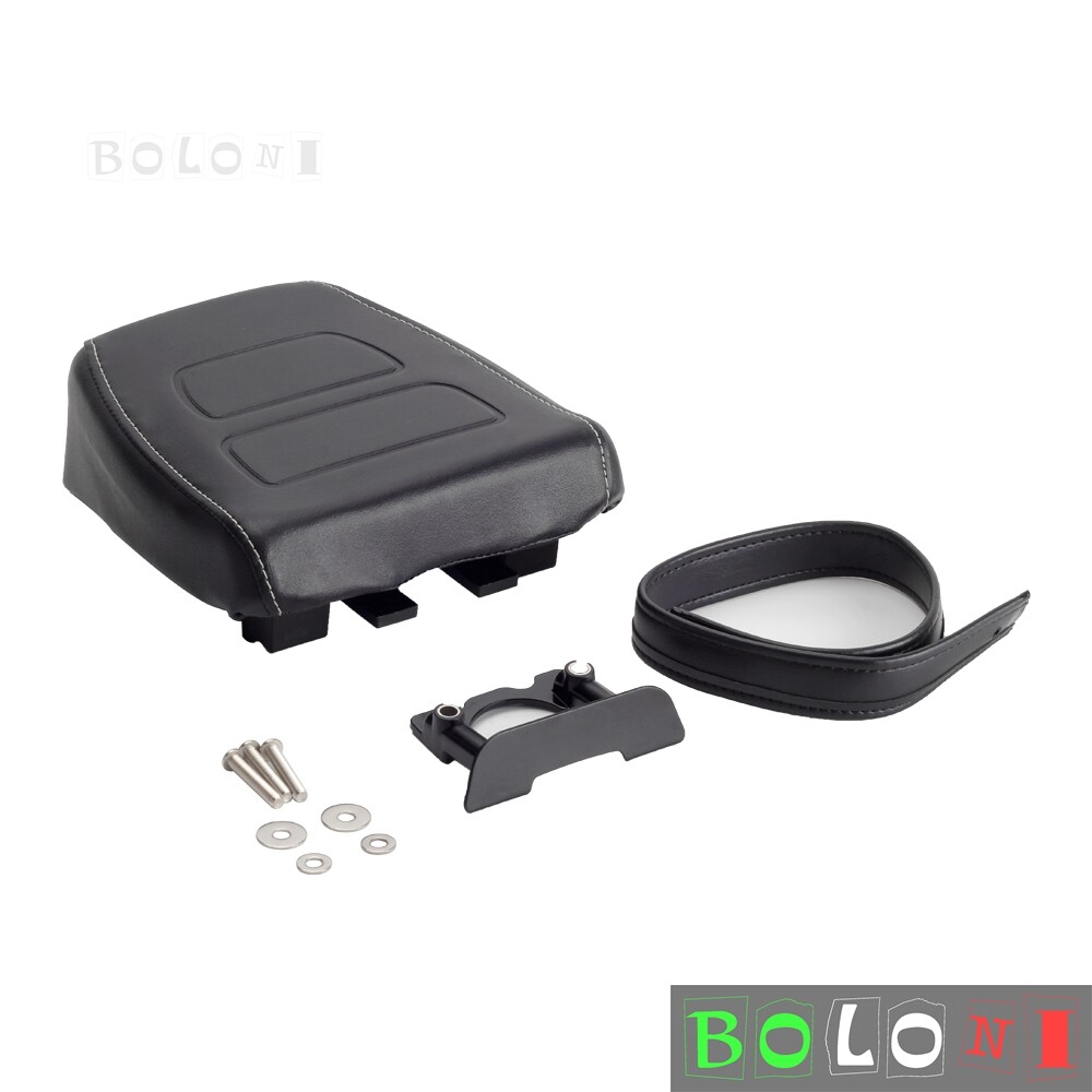 2021-2024 Harley Sportster S RH1250S Motorcycle Passenger
