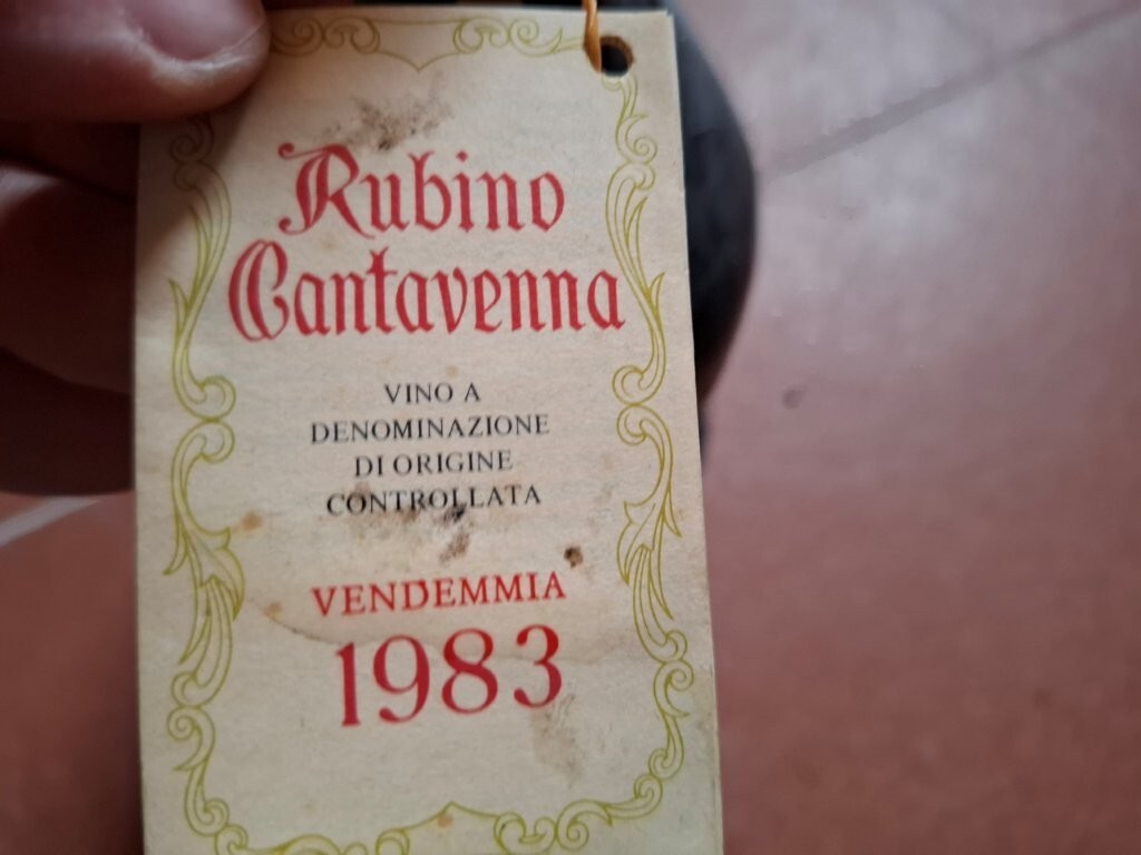 Foto 7 di 7