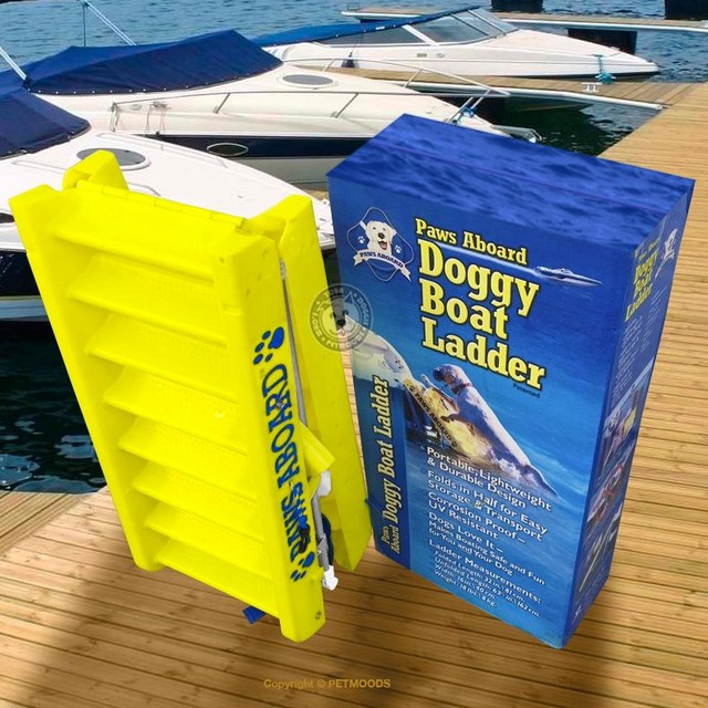 paws aboard dog ladder