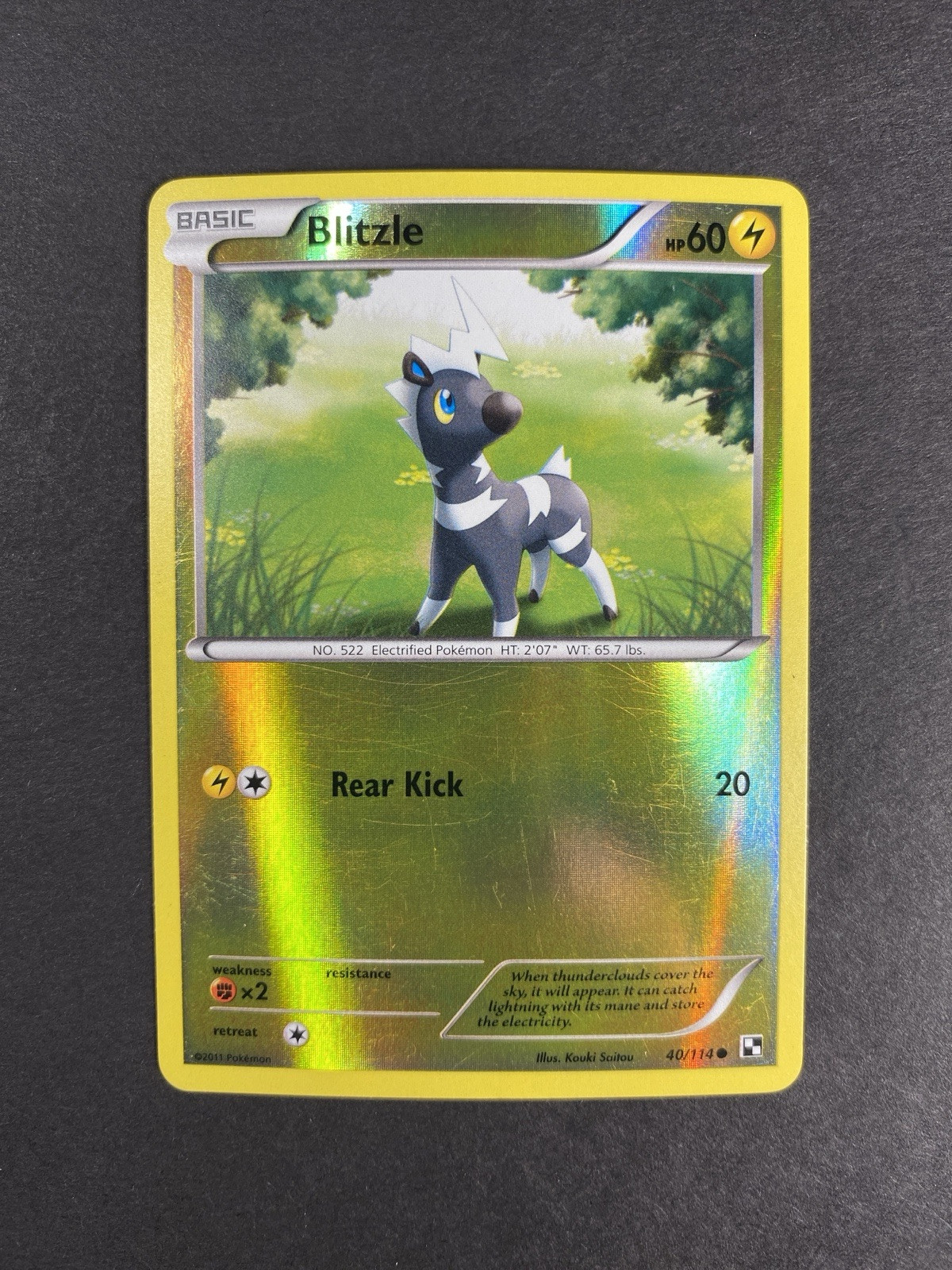 Blitzle 40/114 - Black & White Base - Reverse Holo - Pokemon Card - EXC