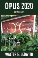 Opus 2020 Walter E. Ledwith Taschenbuch Kartoniert / Broschiert Englisch 2021