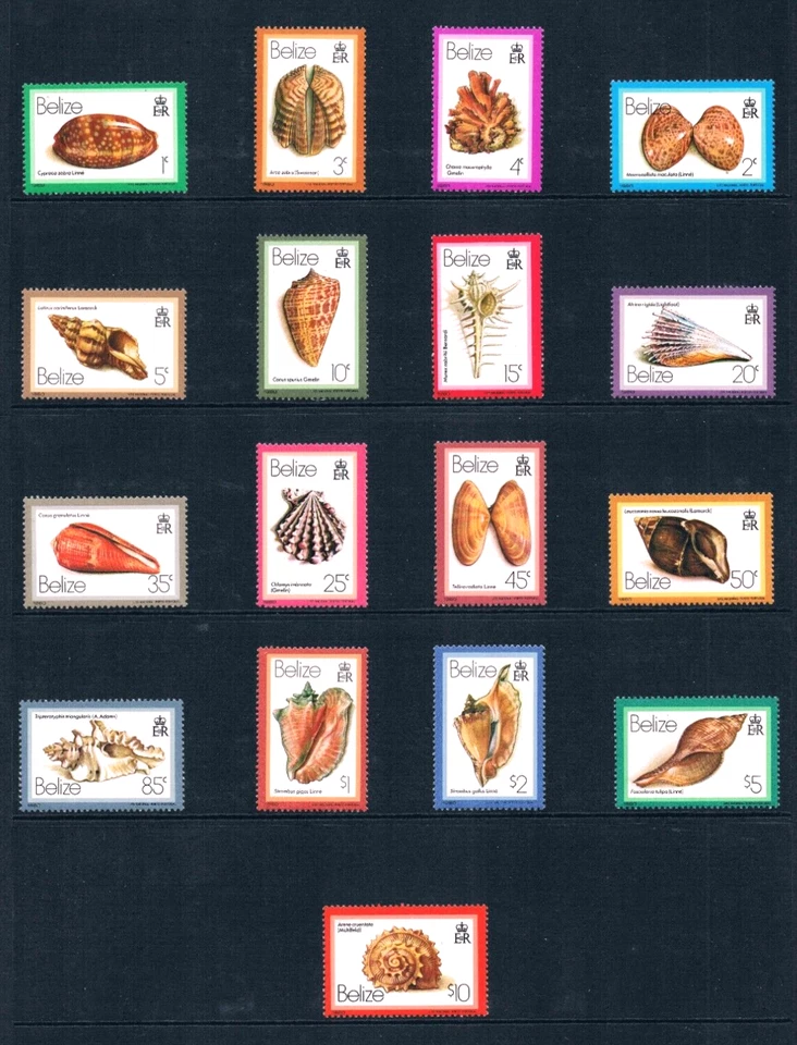 Valor Scott de $80,05 - 1980 conchas marinas definitivas Belice marinas MNH NH UMM Foto 3 de 4