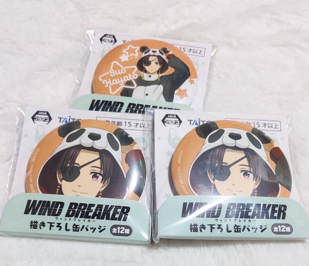 WIND BREAKER Win Breaker Suo Hayato ly Drawn Can Badge
