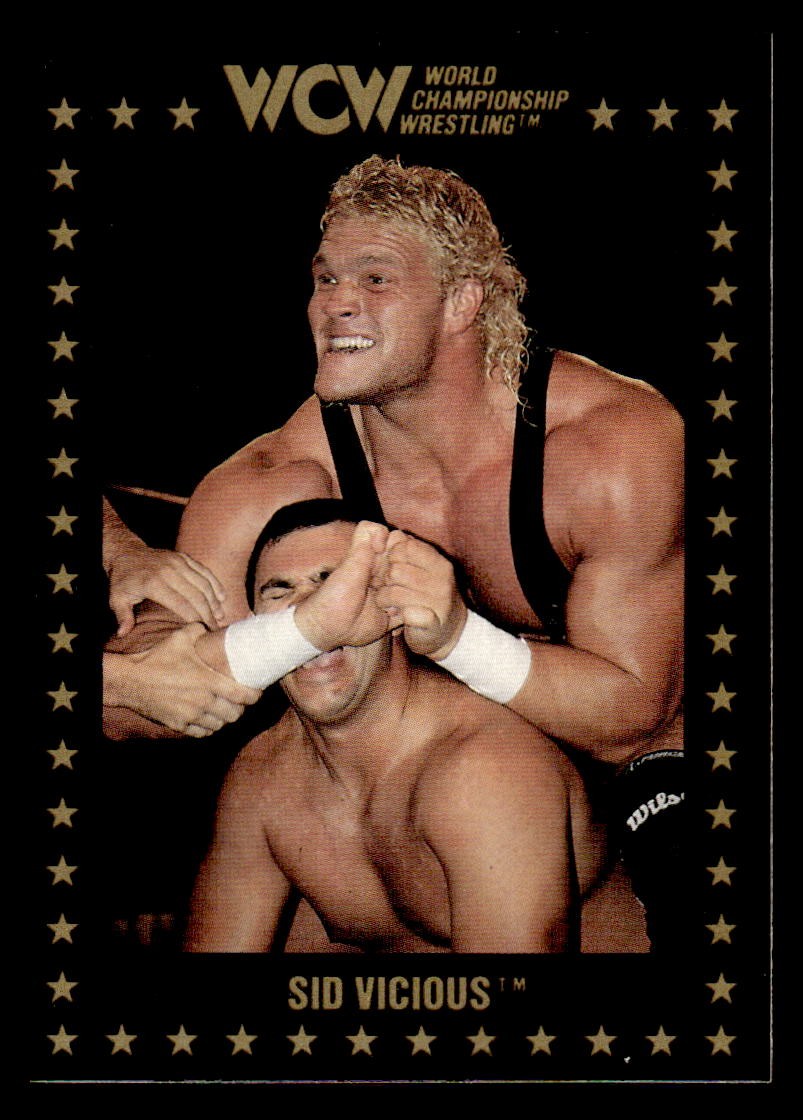 1991 Championship Marketing WCW #60 Sid Vicious