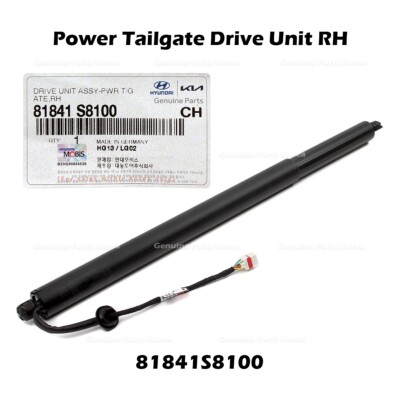 ⭐Genuine⭐ Power Tailgate Drive Unit RH 81841S8100 for Hyundai